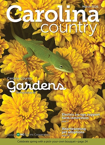 March Carolina Country Magazine Cover with Yellow flowers and a green lizard